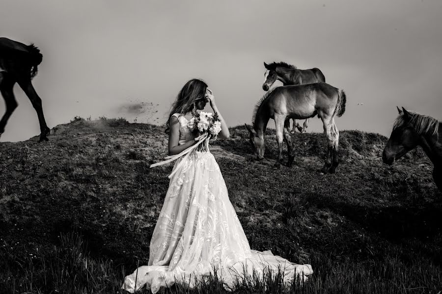 Fotografo di matrimoni Katerina Shevchenko (katysheff). Foto del 15 settembre 2018