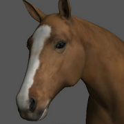 Horse Pose Tool 3D 6.8.99 Icon