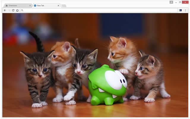 Gatos Papel de Parede Tab Themes