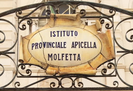 Istituto Apicella