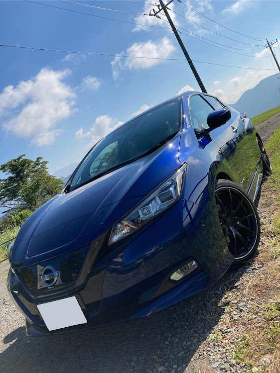 リーフのホイール図鑑・G25に関するカスタム事例の投稿画像1枚目
