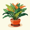 Icon Grow Plants - Plant Tycoon