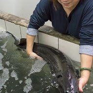 全家鱘龍活魚餐廳