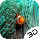 Download Clownfish Underwater Sea Seawead Live 3D Wallpaper For PC Windows and Mac