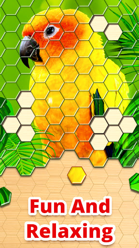 Screenshot Jigsaw Puzzles Hexa