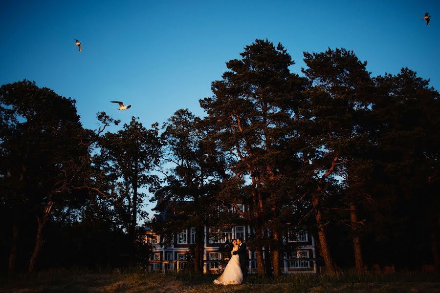 Fotografo di matrimoni Artem Pitkevich (gromazeka). Foto del 31 ottobre 2017