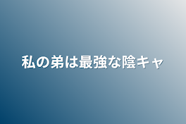 私の弟は最強な陰キャ