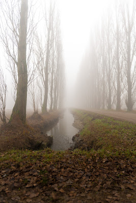 Nebbia in Val Padana  di debho_jo