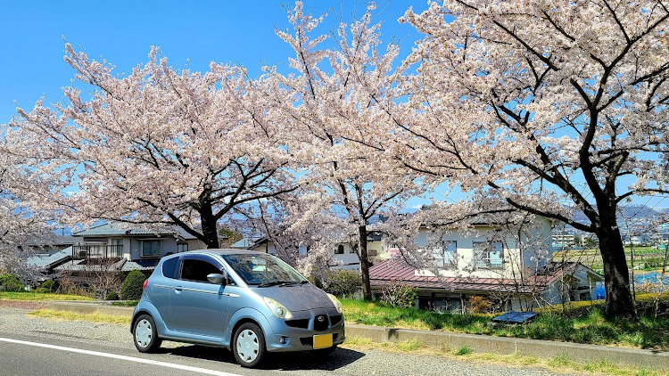 の投稿画像1枚目