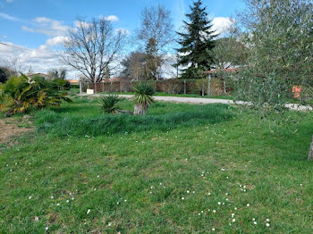 maison neuve à Montastruc-la-Conseillère (31)