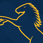 Brumbies Apk