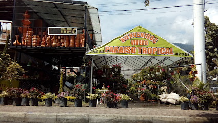 VIVERO PARAISO TROPICAL