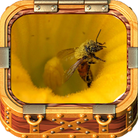 Beekeeping Made Easy