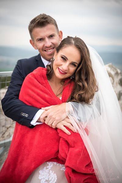 Photographe de mariage Lenka Olejňáková (danalifoto). Photo du 8 avril 2019