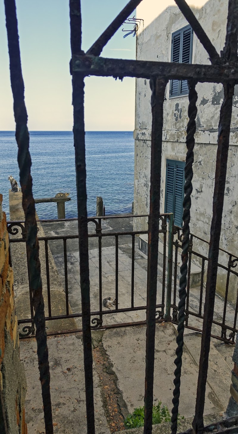 Lì, oltre il cancello... un tuffo nella libertà di lugiube