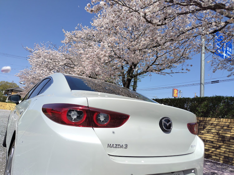 MAZDA3のサクラと愛車・桜とコラボ・桜コラボ・桜・筑波山に関するカスタム事例の投稿画像4枚目