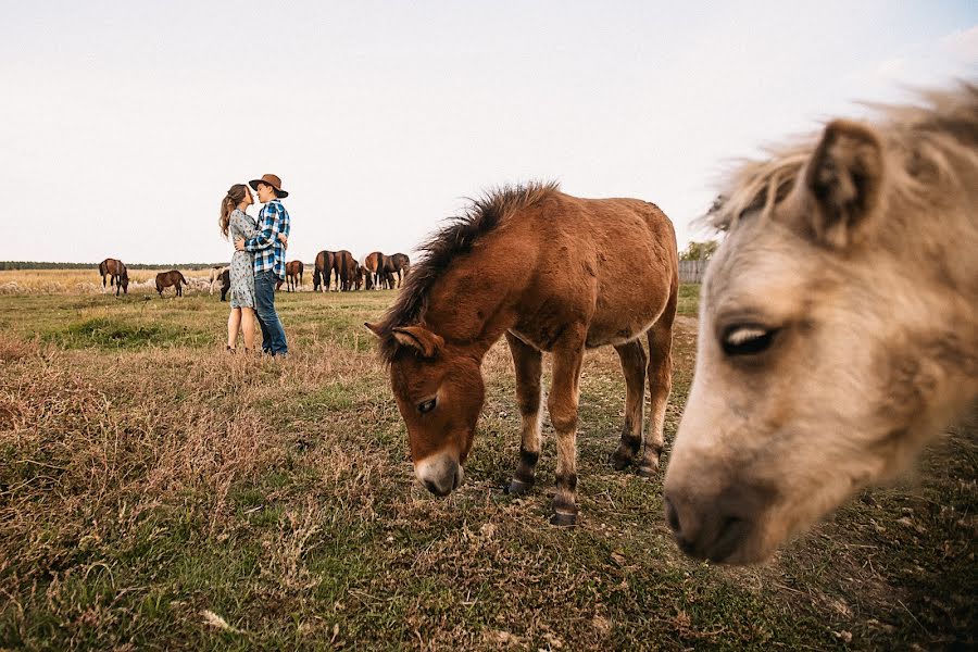 Photographe de mariage Anastasiya Usynina (steshaphoto). Photo du 29 novembre 2019