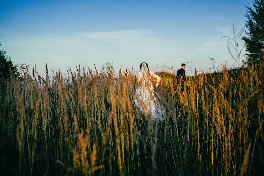 Pulmafotograaf Svetlana Grebneva (grebneva). Foto tehtud 23 oktoober 2015