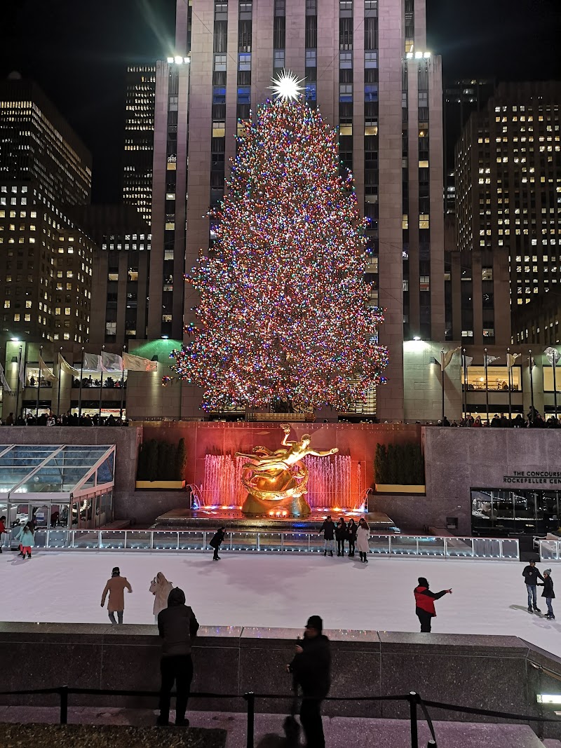 Nueva York en Navidad. Diciembre 2019 - Blogs de USA - Aniversario en Nueva York. Central Park y Top of The Rock (35)