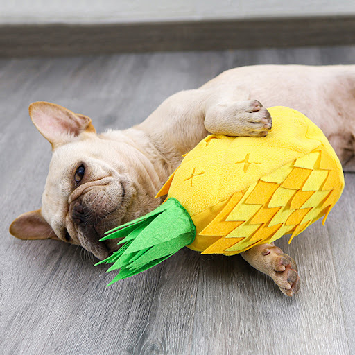 Title 5, Pet soft toy perfect for cuddles and safe playt...
