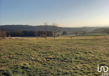 terrain à Montregard (43)