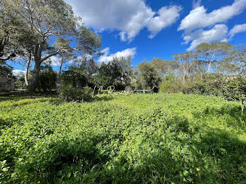 terrain à batir à Saint-raphael (83)