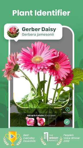 Screenshot Blossom - Plant Identifier