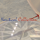 Download Nautical Collection For PC Windows and Mac 1.0