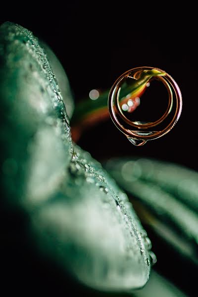 Fotógrafo de casamento Igor Tyulkin (milky). Foto de 14 de fevereiro 2018