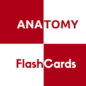 Download Anatomy FlashCards For PC Windows and Mac