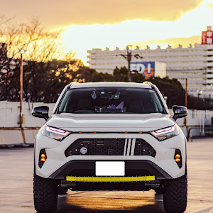 RAV4 AXAH54