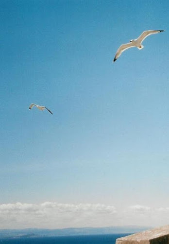 In volo di ildarita