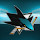 NHL San Jose Sharks New Tab