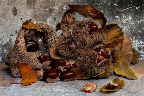 Parfum d'automne di adimar