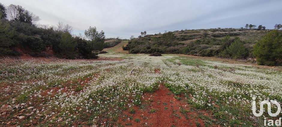 Vente terrain  11920 m² à Cébazan (34360), 18 000 €