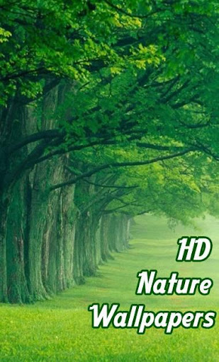 Nature Wallpapers