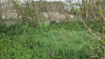 terrain à Le Vanneau-Irleau (79)