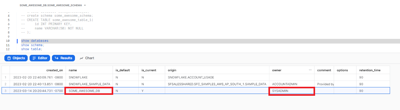 Query "SHOW DATABASE" executed, displaying all database - snowflake roles