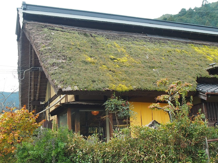 320iの紅葉🍁・お寺巡り・丹波・ローガンに関するカスタム事例の投稿画像6枚目