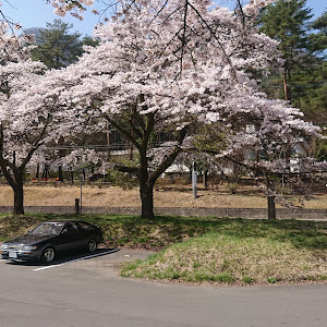 カローラレビン AE86