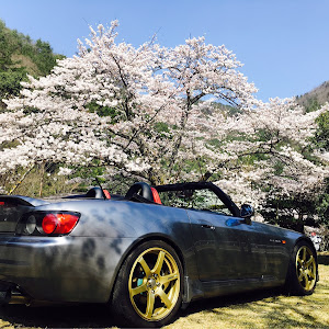 S2000 AP1