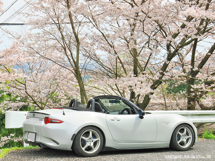 ロードスターのマツダ ロードスターND・セラミックメタリック・NR-A・サクラと愛車・桜とコラボに関するカスタム事例の投稿画像8枚目