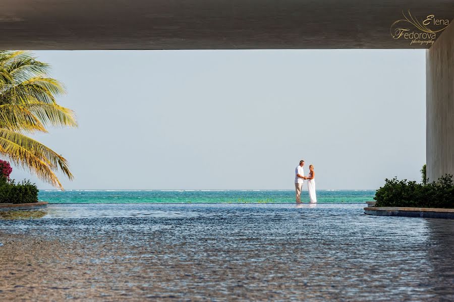 Photographe de mariage Elena Fedorova (neilina). Photo du 1 juin 2015