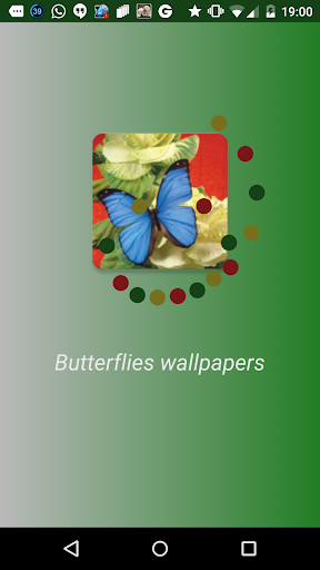 Butterflies wallpapers