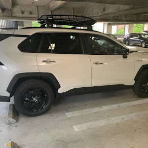 RAV4 AXAH54