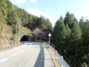 トンネル手前で右へ