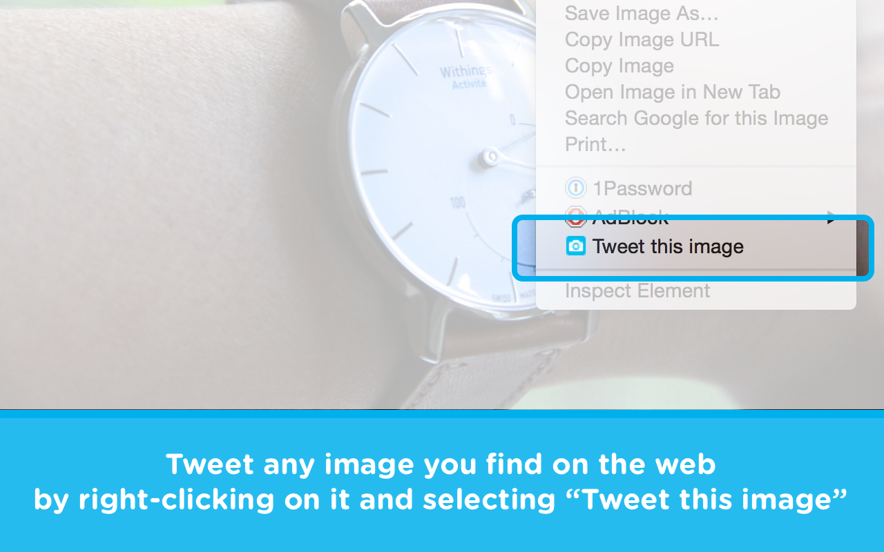 TwitShot for Chrome Preview image 2