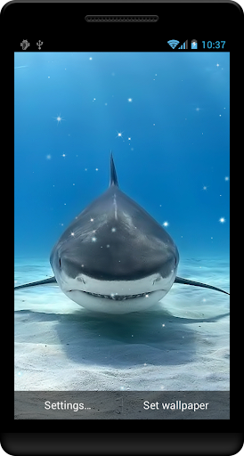 Shark Live Wallpaper