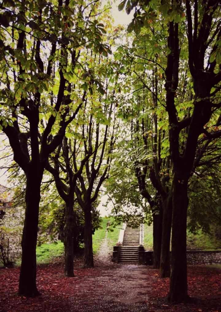 Castello in autunno di nicoletastella