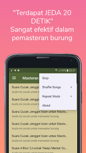 Masteran Burung Cucak Jenggot Offline